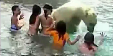 Furchtlose Schulkinder plantschen mit Eisb&auml;ren