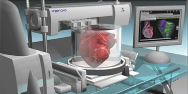 "Bioprinting" - Fleisch kommt aus dem Drucker