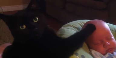 So s&uuml;&szlig;: Katze streichelt Baby in den Schlaf