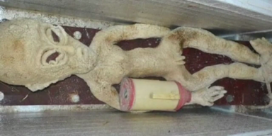 Chinese versteckt 'Alien' im Tiefk&uuml;hlfach