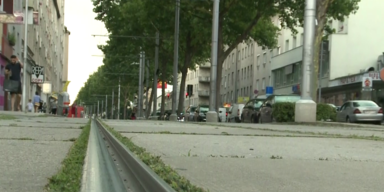 vlcsnap-2017-07-07-11h35m22s979.png