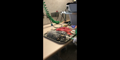 vlcsnap-2018-05-02-12h35m08s137.png