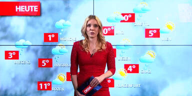 vlcsnap-2019-02-12-08h11m46s383.jpg