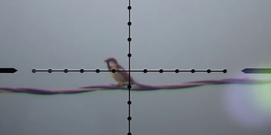 vlcsnap-2020-08-30-11h14m56s408.png