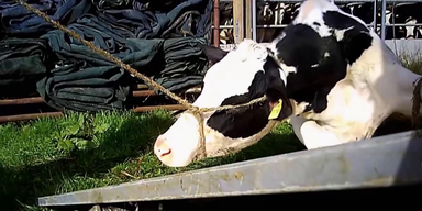 vlcsnap-2020-09-07-10h08m13s664 - Kopie.png