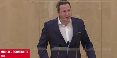 Debatte um das Budget | Statement von Michael Schnedlitz