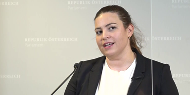 U-Auschuss mit verschärften Bedingungen | Statement von Nina Tomaselli