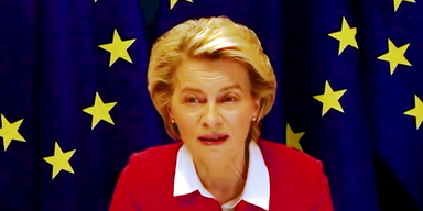 Corona-Impfung | Videokonferenz Kurz mit von der Leyen