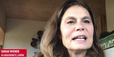 Fellner! LIVE: Sarah Wiener im Interview | Sendung vom 27.11.