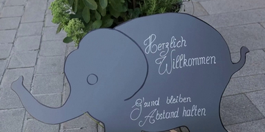 Corona | Babyelefant ist das Wort des Jahres 2020