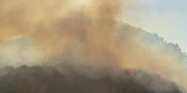 USA | Feuer in Südkalifornien: Tausende auf der Flucht