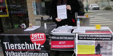vlcsnap-2021-01-10-15h38m11s957.jpg