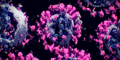 vlcsnap-2021-01-21-13h13m15s608.png