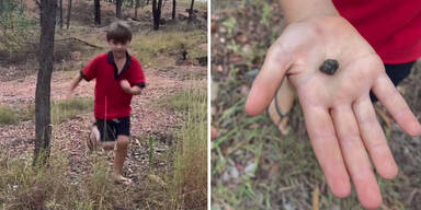 Bub (7) entdeckt wertvollen Schatz bei Wald-Spaziergang