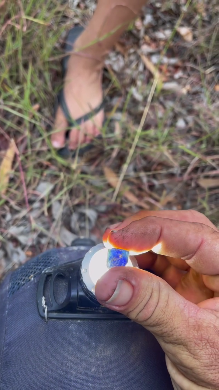 Bub (7) entdeckt wertvollen Schatz bei Wald-Spaziergang