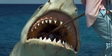 vlcsnap-2025-05-28-15h55m17s771.png