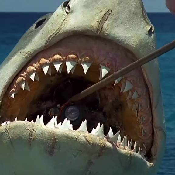 Ein größeres Boot: 