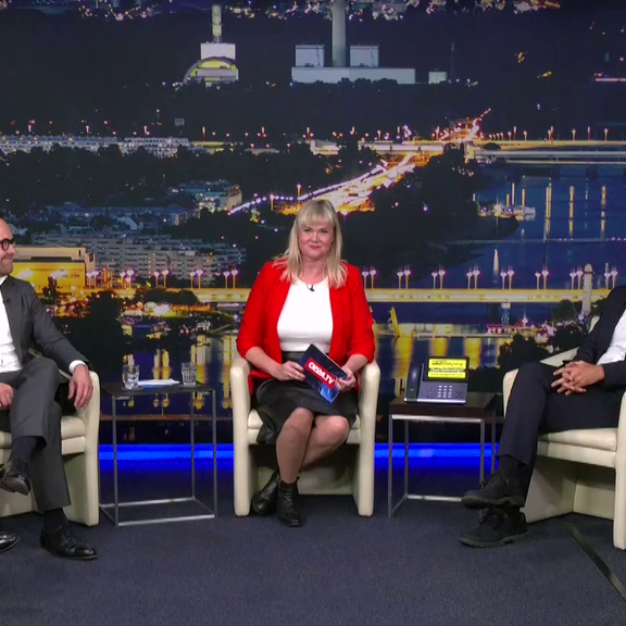 Der Experten-Talk zur Energiewende