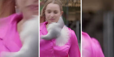 Wilde Vogel-Attacke: Möwe knallt Reporterin ins Gesicht