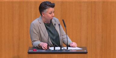 Mega-Panne: Grüne stimmten gegen eigenen Antrag