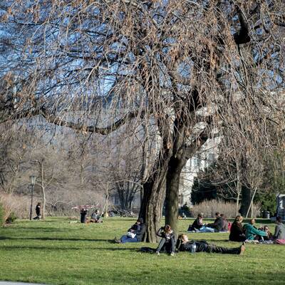 Österreich erblüht