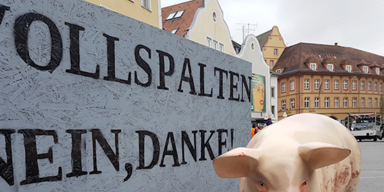 vollspalt.PNG