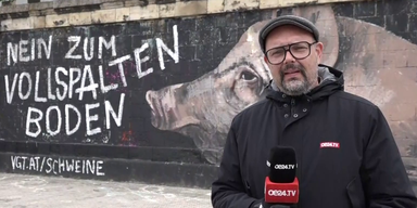 vollspatlen boden.png