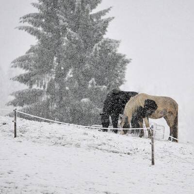 Wintereinbruch in Vorarlberg