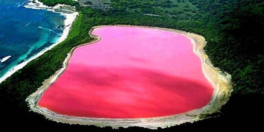 Warum ist dieser See pink?