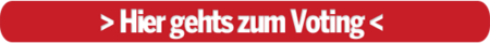 Kopie von Voting Salzburg