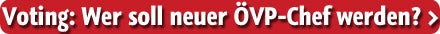 So tickt der neue ÖVP-Chef