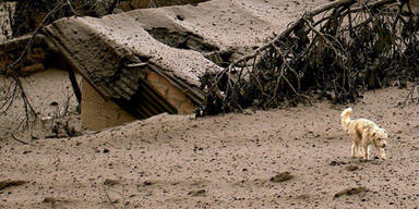 Fünf Tote nach Vulkanausbruch