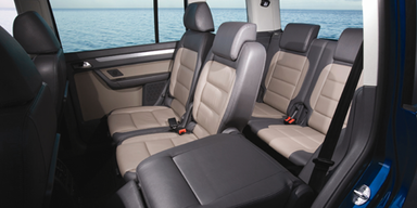 Überblick über die beliebtesten heimischen Vans