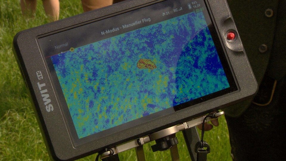 Wärmebildkamera zeigt Kitze.