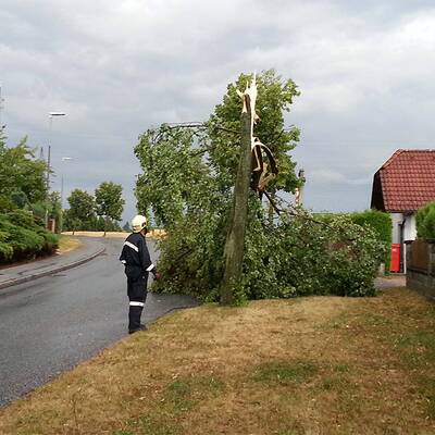Sturmschäden in NÖ, Steiermark, Burgenland