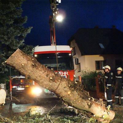 Sturmschäden in NÖ, Steiermark, Burgenland