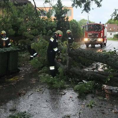 Sturmschäden in NÖ, Steiermark, Burgenland