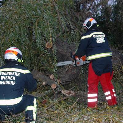Im Bild: Die Florianijünger beim Aufräumen