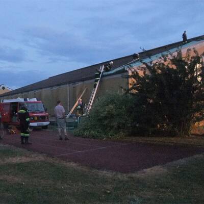 Sturmschäden in NÖ, Steiermark, Burgenland