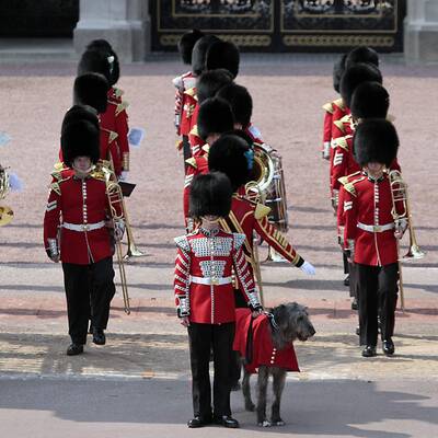 Royale Vorbereitungen