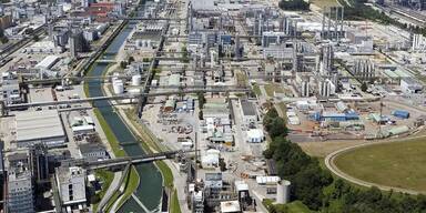 Wacker-Kahlschlag trifft Innviertel: Bürgermeister warnt vor Dominoeffekt