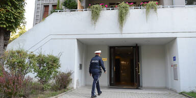 Acht Jahre Haft f&uuml;r Wiener Mutterm&ouml;rder