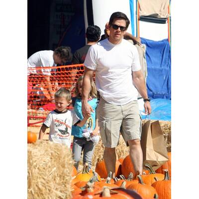 Kürbis-Mania in Hollywood