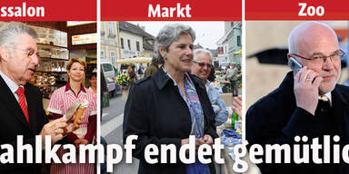 Bundespräsident: Kandidaten im Endspurt