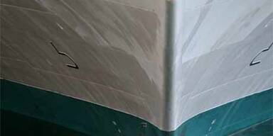 Kreuzfahrtschiff spießte Wal auf