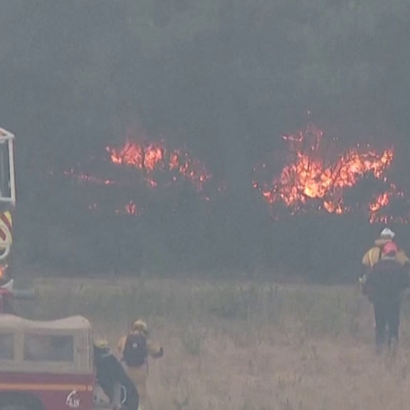 Größter Waldbrand seit Jahrzehnten in Südafrika