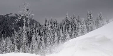 Tirol warnt vor Aufenthalten im Wald