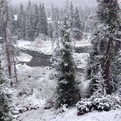 Winter-Wonderland in Colorado