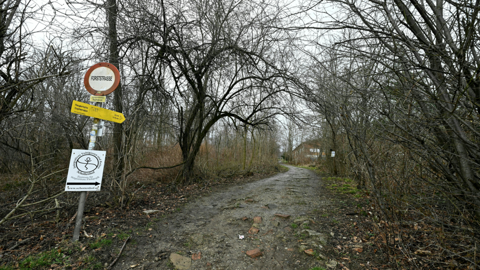 Frauenleiche Wienerwald Hernals