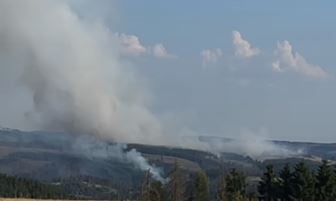 waldbrand thüringen